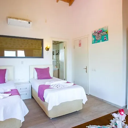Islamlar Village 2 Bedroom - Private Pool And Garden Villa Kalkan